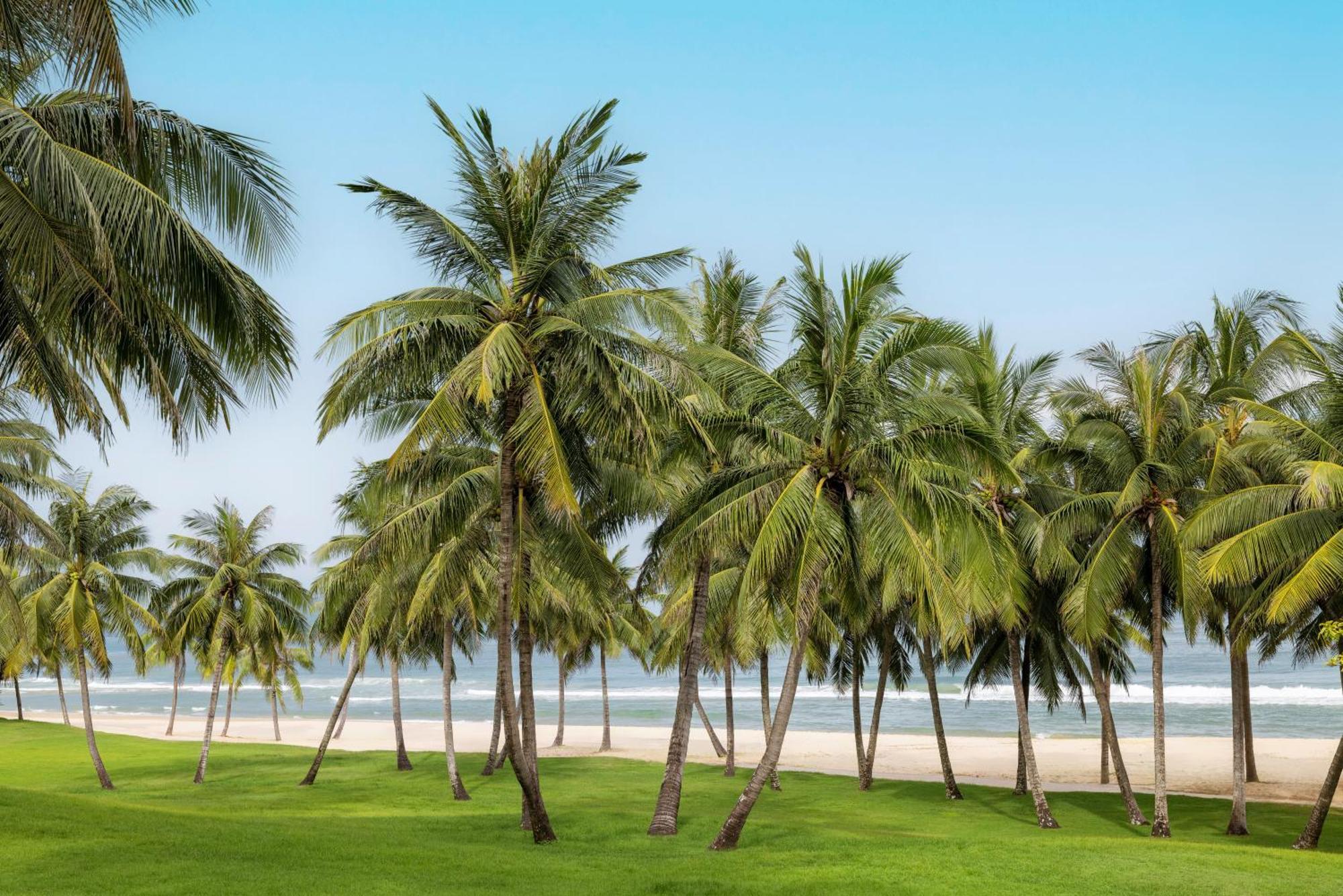 Raffles Hainan Clear Water Bay Lingshui  Exteriér fotografie